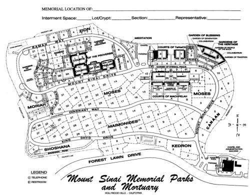 MountSinai