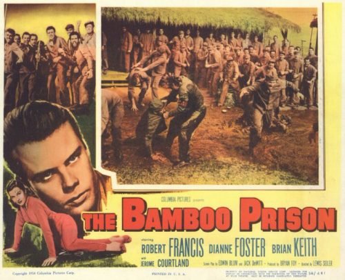 BambooPrison