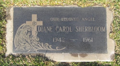 DianeSherbloom.jpg